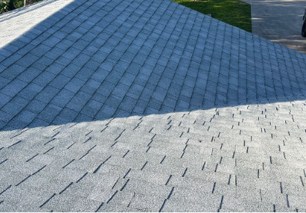 Asphalt Shingle Replacement — detail 2